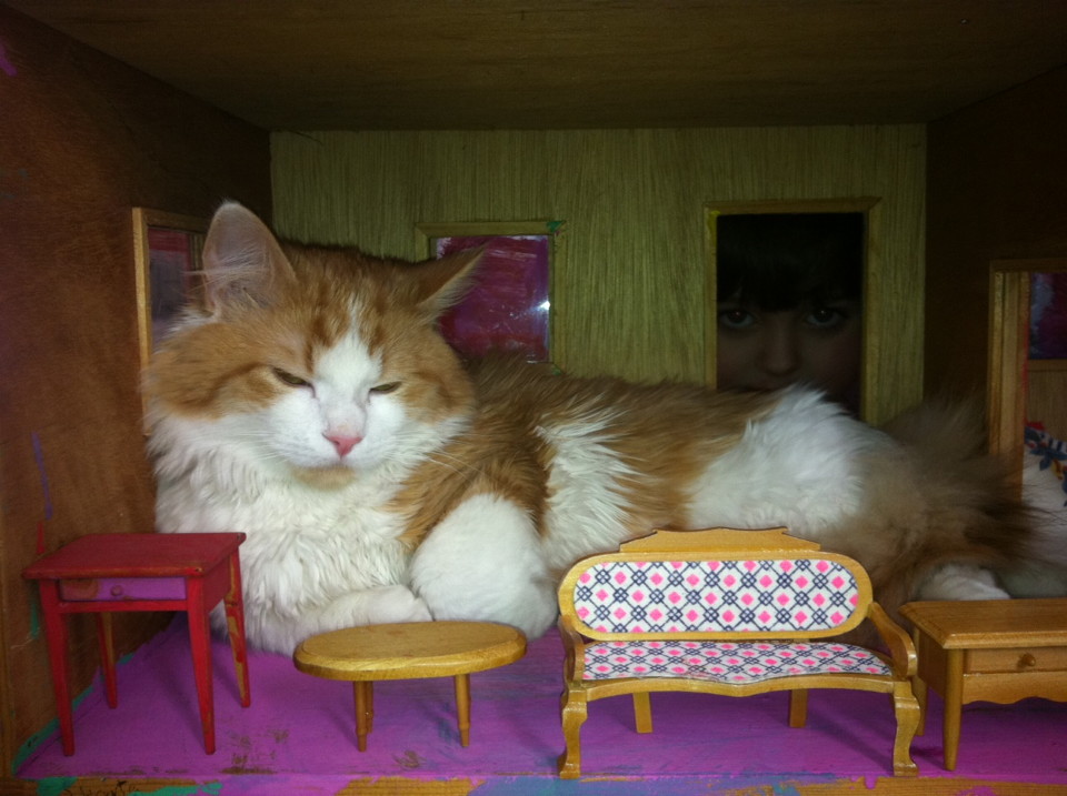 cornelius in wonderland cornelius in wonderland