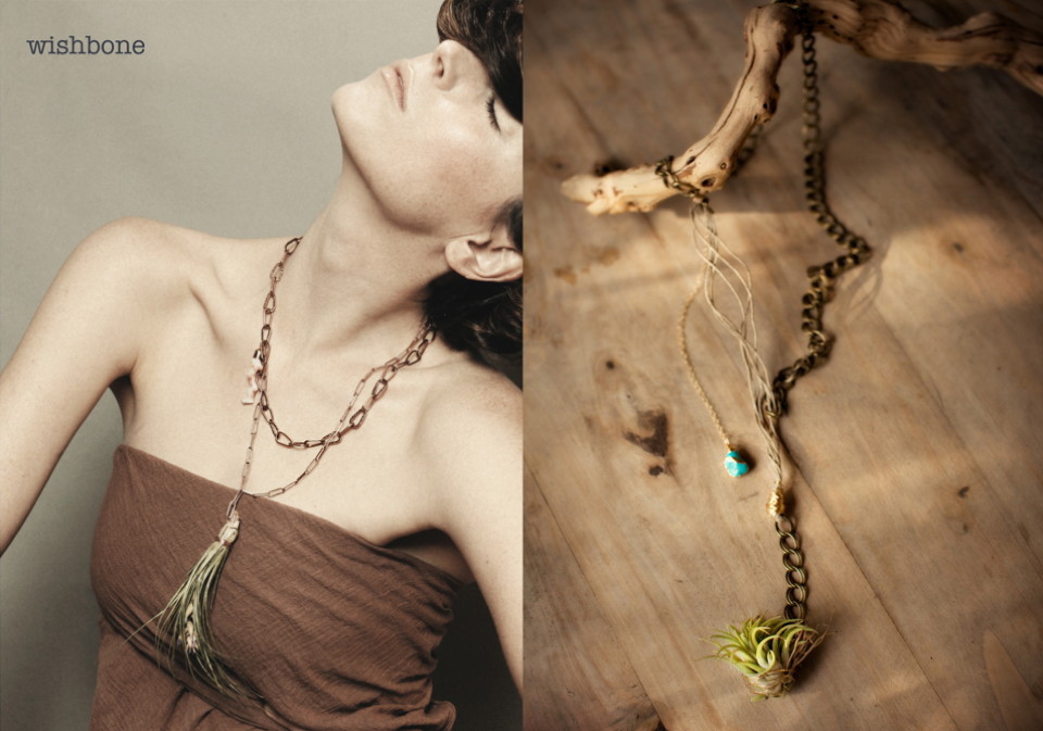 Viola_living_jewels _1