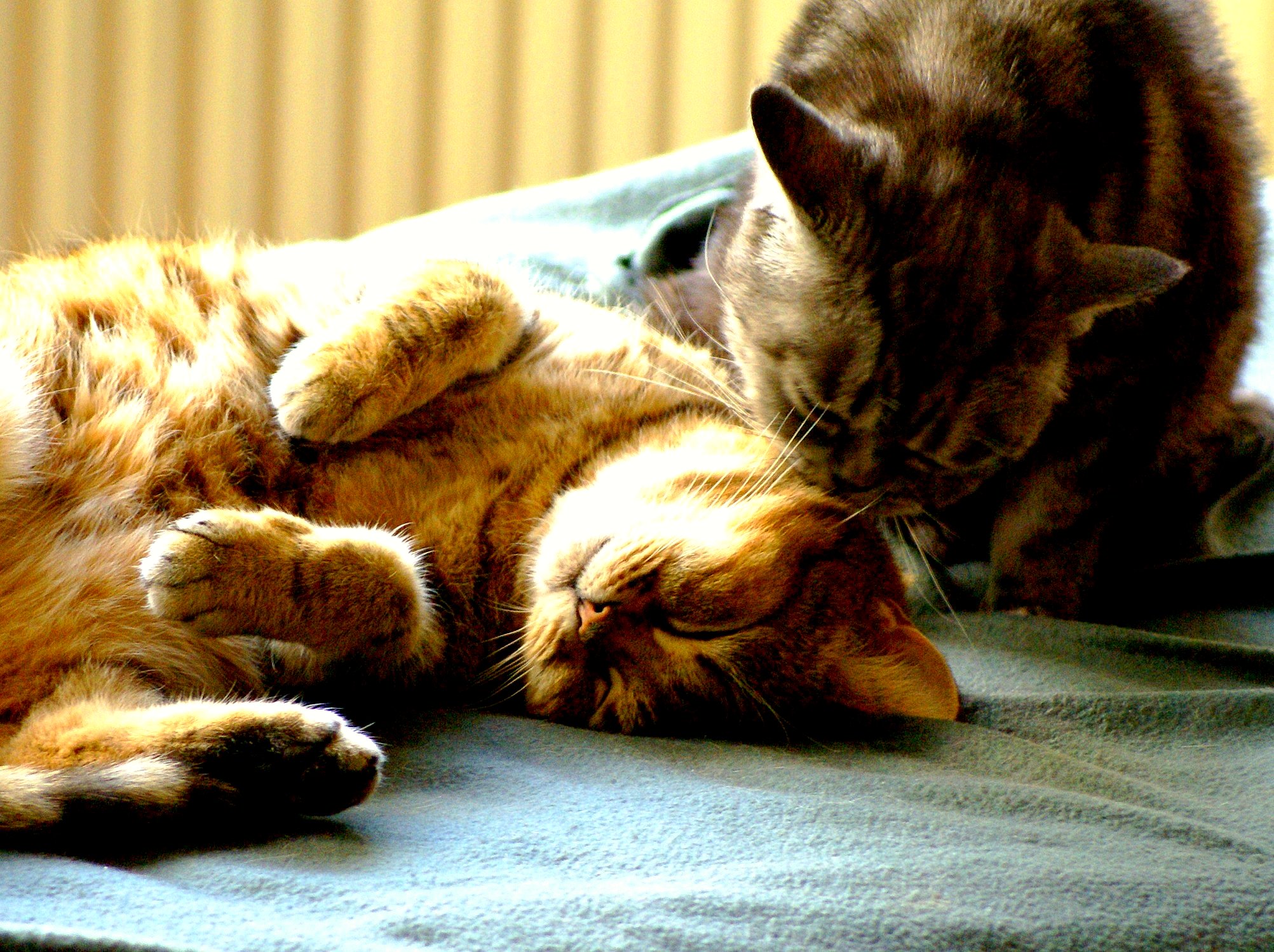Indy & Tjinta Indy & Tjinta