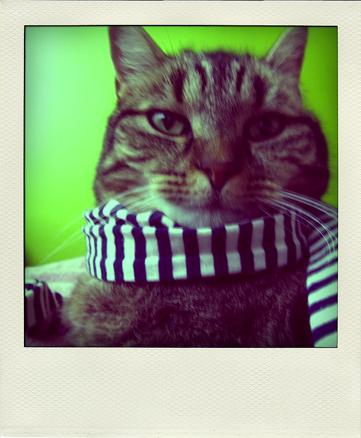 wollie with striped scarf
