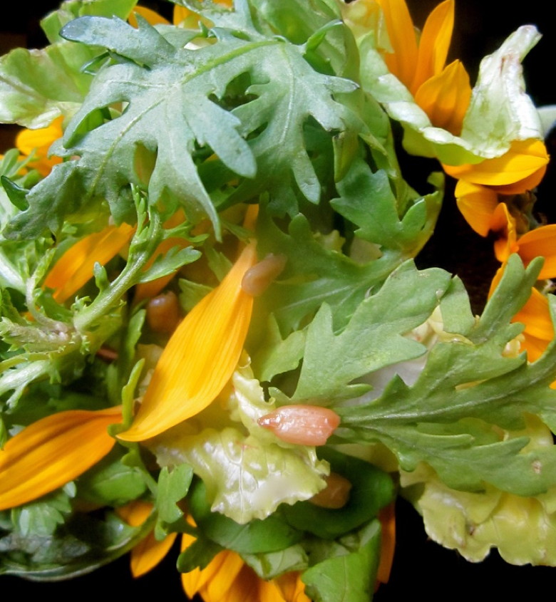 Summer Sunflower Salad : photo by Marja Samsom 