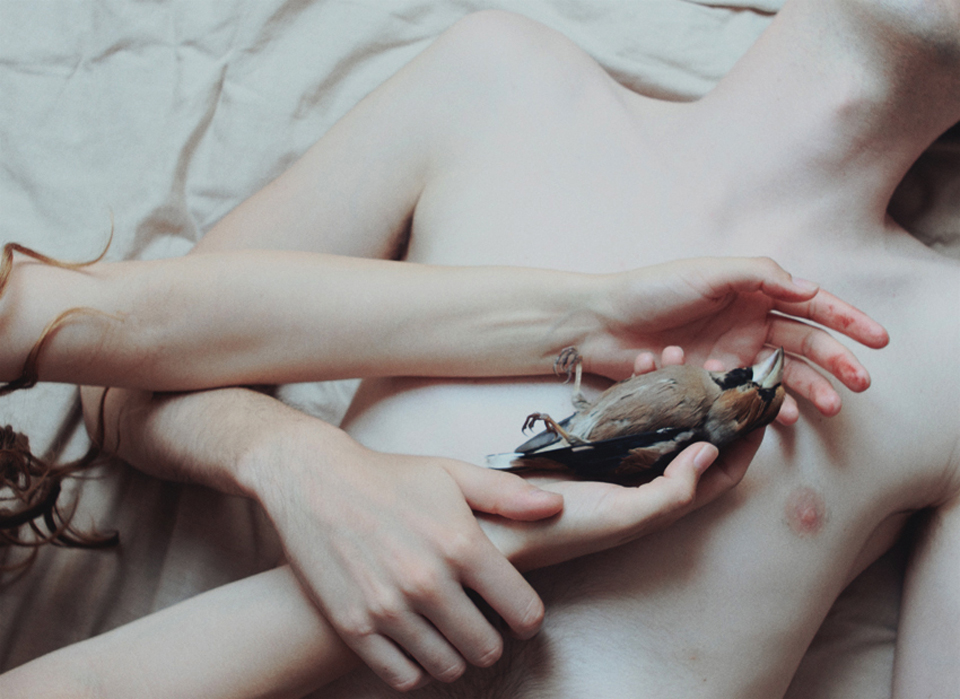 photo by Laura Makabresku