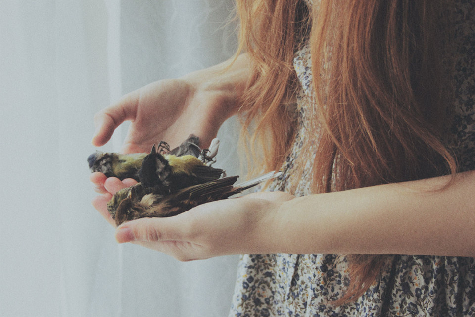 photo by Laura Makabresku