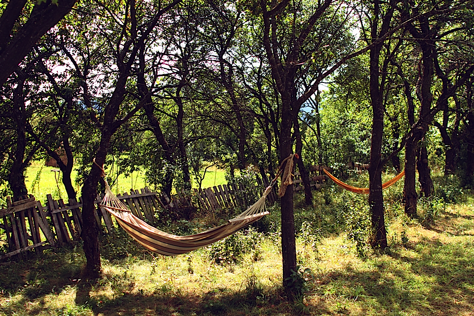 photo by © Léa Munsch © Babou Maramures