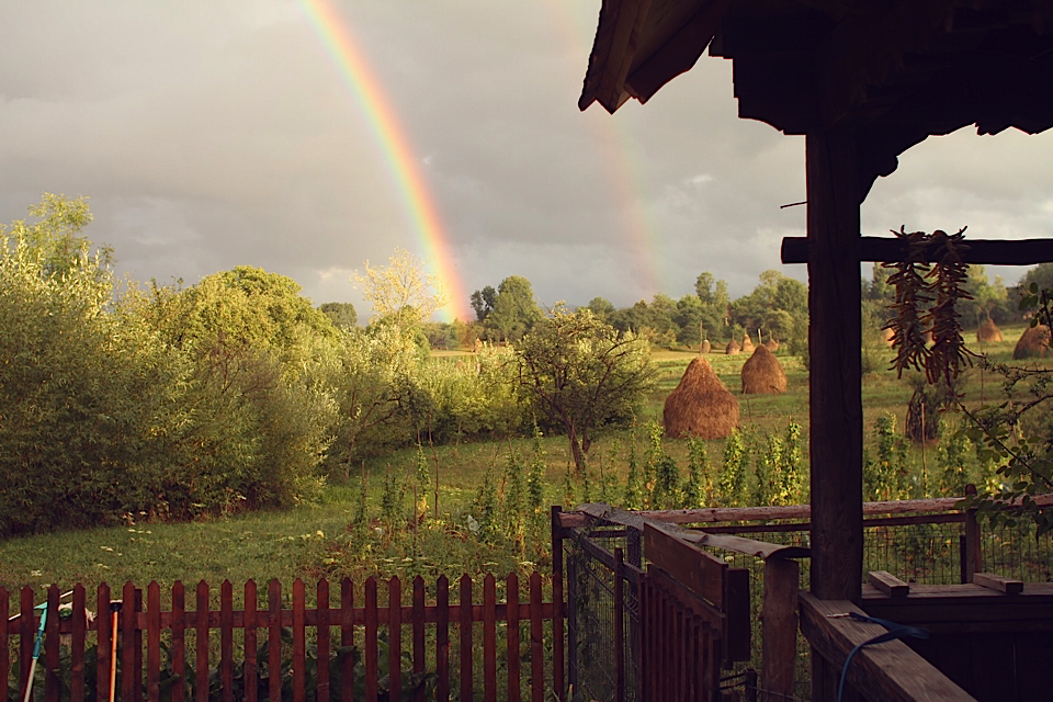 photo by © Léa Munsch © Babou Maramures