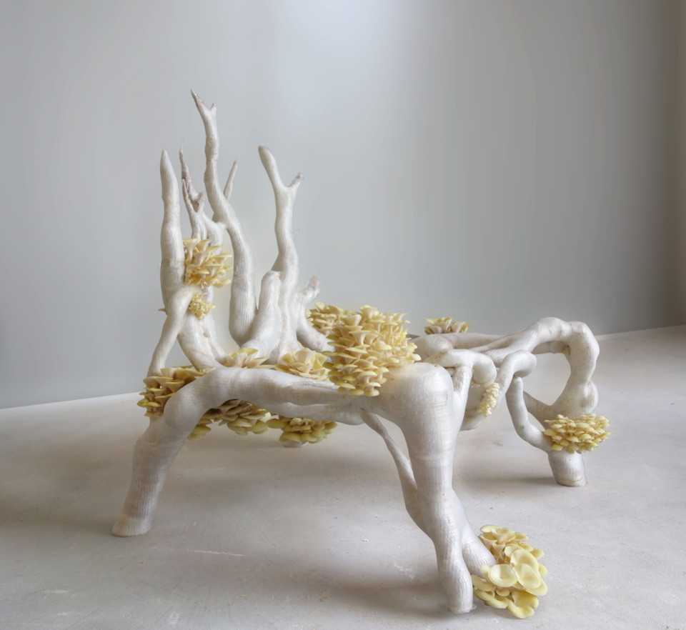 Mycelium chair by Studio Eric Klarenbeek