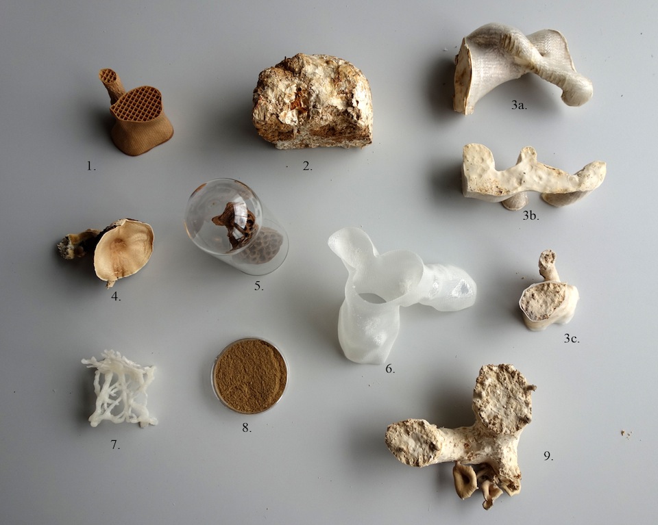 samples mycelium chair by Studio Eric Klarenbeek samples mycelium chair by Studio Eric Klarenbeek