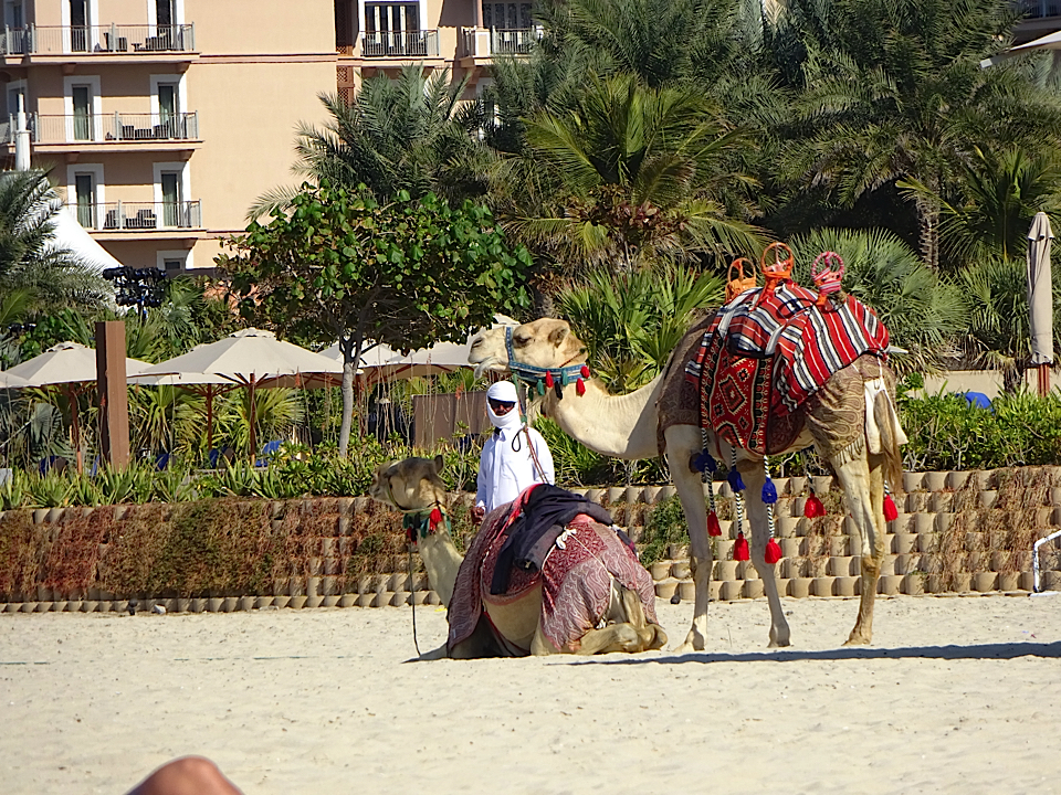 Dubai by Cecile Cremer