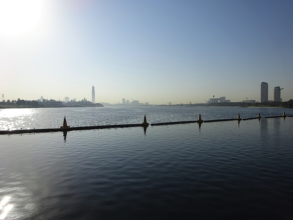 Dubai by Cecile Cremer
