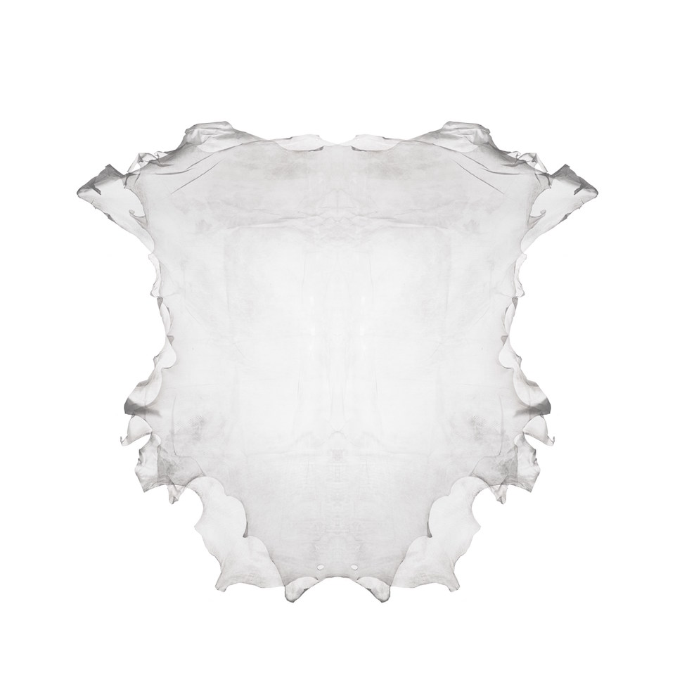 Ecco clearance transparent leather